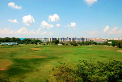 Elias Green (D18), Condominium #450988451